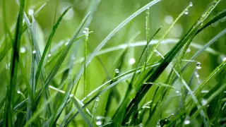 Дожди и потепление: погода в Казахстане на 3 дня