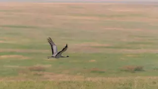 Жара до 38 градусов, грозы и туманы: погода в Казахстане на 18 августа