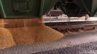 Запрет на ввоз пшеницы поездами вводит Казахстан