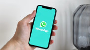 Новая функция появилась в WhatsApp