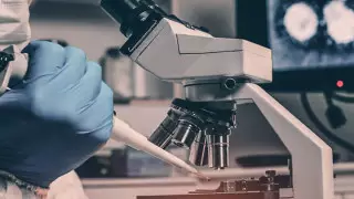 Британские исследователи высказались о вейпах