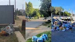 "Шіріп жатыр". Ақтөбеліктер қаладағы басты проблеманы айтты