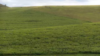 Сколько земли вернули государству с начала года