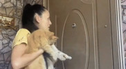 Чип, потом ИИН с ЭЦП. Как о чипировании животных шутят казахстанцы