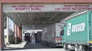Сотни фур из Кыргызстана застряли на границе с Казахстаном - СМИ
