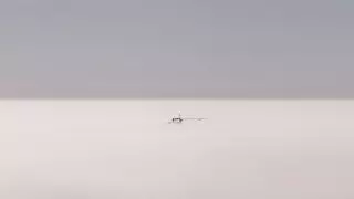 В 5 городах ожидается повышенный уровень загрязнения воздуха 23 августа