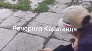 "Помогите, маму избивают": ребенок снял на видео нападение в Карагандинской области