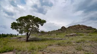 Похолодание до 0 градусов, снег и туманы: погода в Казахстане 1 сентября