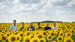 "Высококачественный товар". Какие продукты из Казахстана любят в Китае