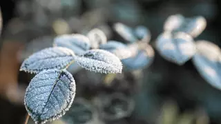 Снег и похолодание до 2 градусов ожидается в Казахстане