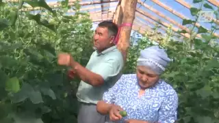 Проработавший 40 лет на железной дороге карагандинец кардинально поменял профессию