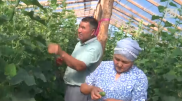 Проработавший 40 лет на железной дороге карагандинец кардинально поменял профессию
