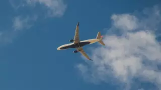 Пассажира назвали биологической угрозой и развернули самолет