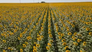 30-градусная жара придет в Казахстан