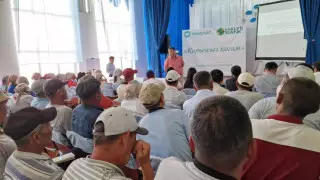 38 400 сельчан прошли курс финансовой грамотности при поддержке Halyk и Amanat