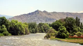 Депутат потребовала расследование из-за дефицита воды в Жамбылской области