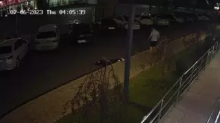 Инцидент с сыном депутата Турлыханова прокомментировали в полиции Алматы