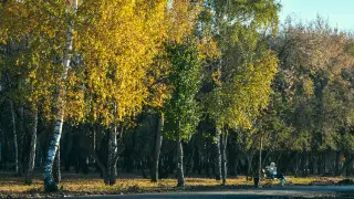 Осень придет в Казахстан в эти выходные