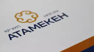 Токаев: Требуется дальнейшая трансформация НПП "Атамекен"