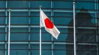 Правительство Японии ушло в отставку