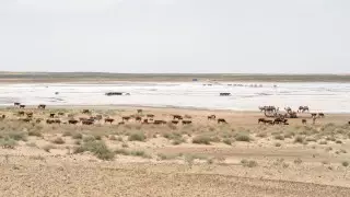 "Прекратить скрывать очевидное": депутаты предложили объявить режим ЧС в ряде регионов