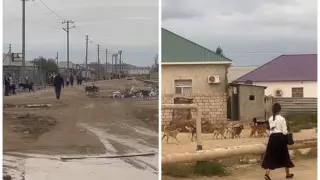 Акимат подал в суд на недобросовестных подрядчиков в Мангистау