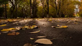 Какая погода ожидает казахстанцев 17 сентября