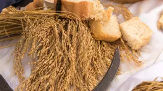 Что будет с урожаем и вырастут ли цены в Казахстане, ответил глава МСХ