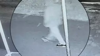 Видеокамеры помогли найти мужчину, пытавшегося изнасиловать девушку на улице в Аксае