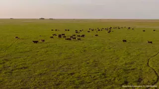 Как государство изымает земли, рассказали в правительстве