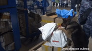 Астанчан приговорили за получение запрещенной посылки из США