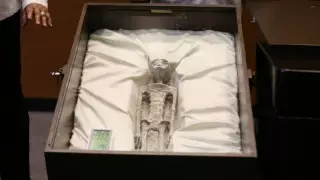 Представленные в конгрессе Мексики "тела пришельцев" прошли лабораторные исследования