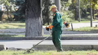 Когда семейных дебоширов начнут принуждать к общественному труду