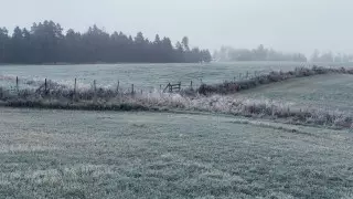 Похолодание и заморозки ожидаются в Казахстане