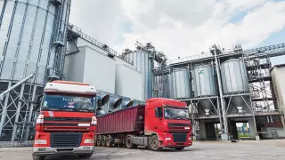 Запрет на ввоз пшеницы в Казахстан авто и поездами объяснили в МСХ