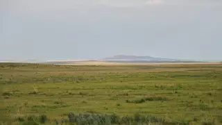 Земли на 218 миллионов вернули государству в Кызылординской области