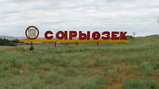 Пенсионера подозревают в убийстве сына в Жетысу