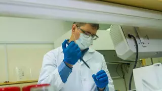 Разработано первое лекарство, защищающее от летального исхода при бешенстве