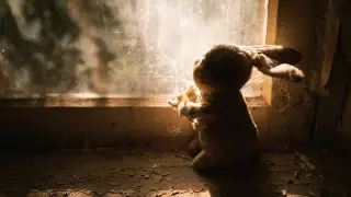 В Акмолинской области всем селом искали пропавшего мальчика