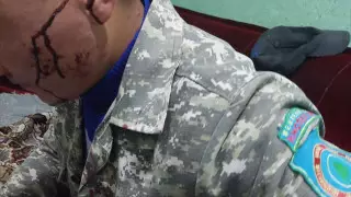 Компания на джипе до потери сознания избила лесника в Иле-Алатауском нацпарке