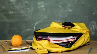 Сроки обучения и каникул в школах Казахстана утвердило Минпросвещения