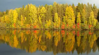 Морозы до 5 градусов и дожди: погода в Казахстане на 6 октября