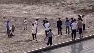 Полиция Туркестанской области установила подростков на опубликованном в сети видео