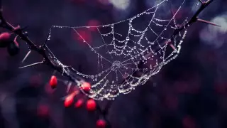 Морозы, снег и жара до 29 градусов: погода в Казахстане на 12 октября