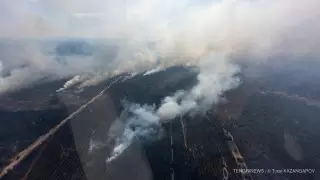 Подсчитан ущерб от пожаров в области Абай