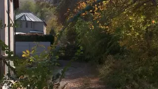 Сестру Арыстанбека Мухамедиулы обвинили в самозахвате земли