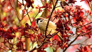 Ночные морозы, туманы и снег: погода в Казахстане на 18 октября