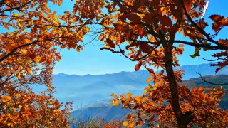 Морозы до 5 градусов и туманы: погода в Казахстане на 19 октября