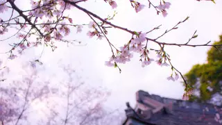 В Японии существует жуткая деревня, "от которой кровь стынет в жилах"