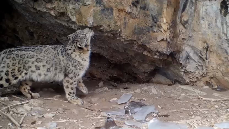 Видео предоставлено ПРООН